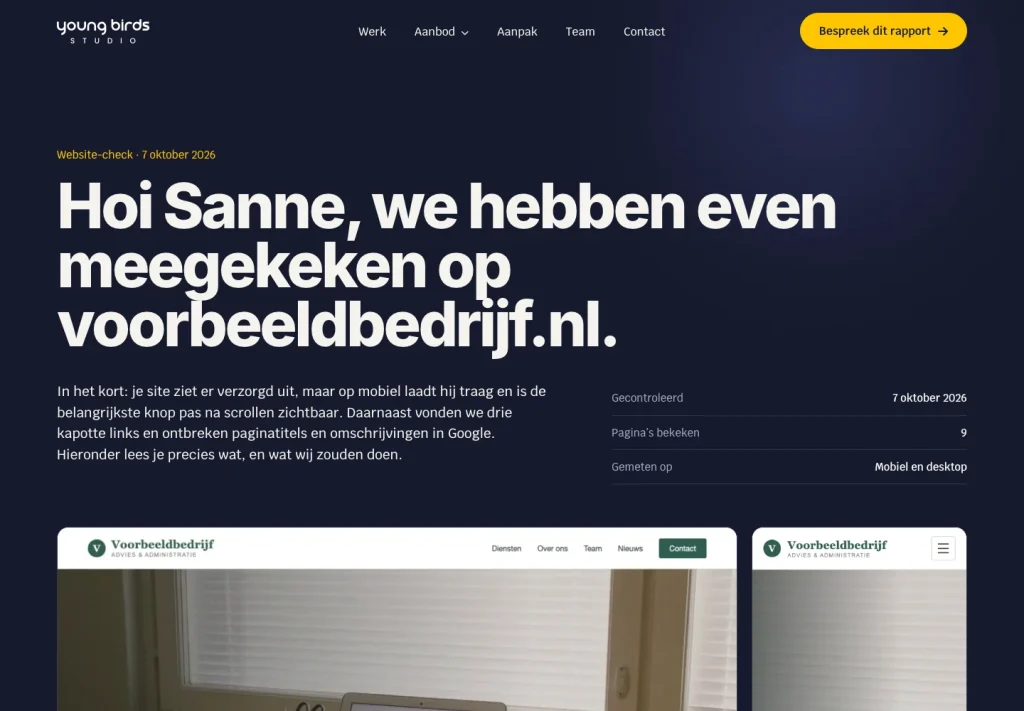 Voorbeeld van een website-check rapport